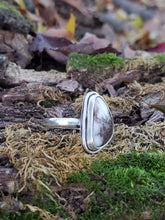 Load image into Gallery viewer, Wild Horse Ring