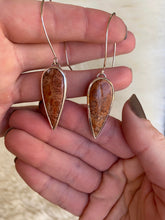 Load image into Gallery viewer, Fossilized Coral Earrings